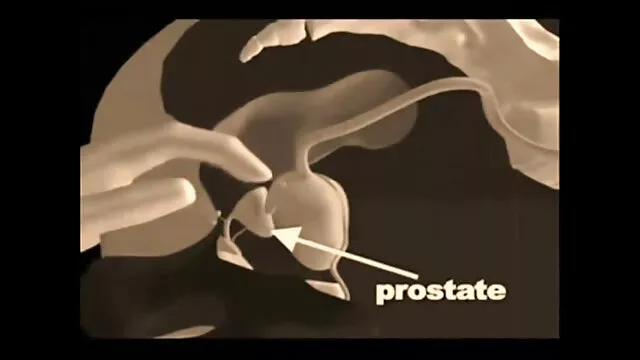 Pełna dziura w środku, kochanie darmowe filmy porno z ukrytej kamery